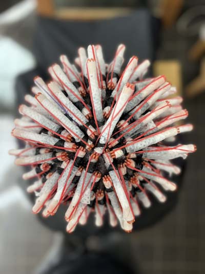 メンズスパイラルパーマのツーブロックスタイルです。4
Men's spiral perm with an undercut　4